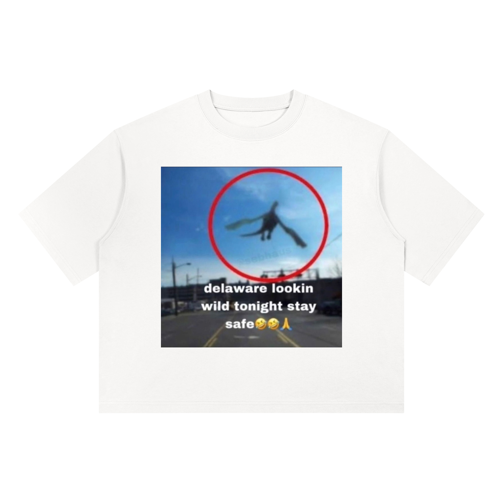 Delaware T-Shirt