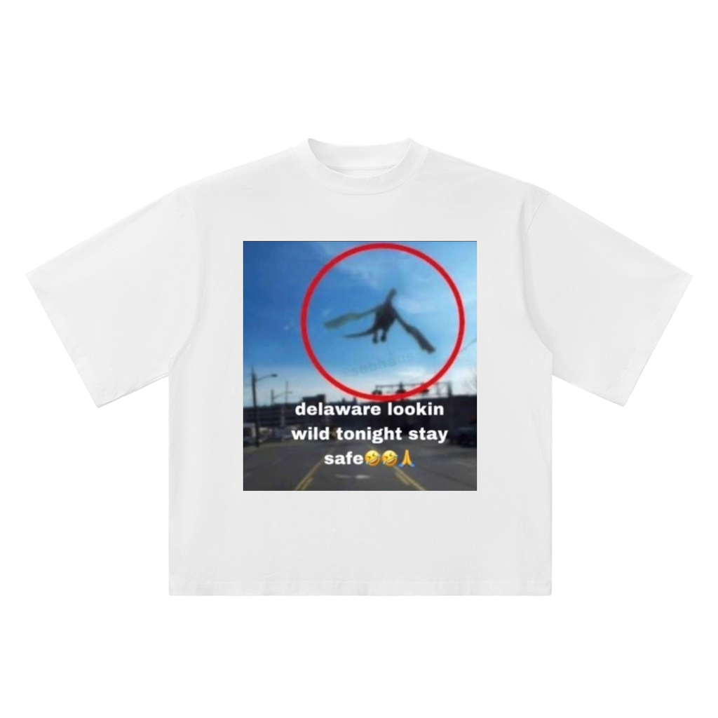 Delaware T-Shirt